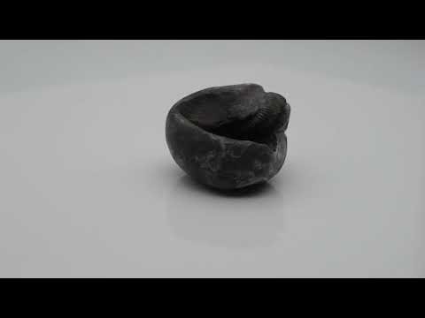 Gandaki River Sudarshan Shaligram Vishnu Shilla For Worship Small Size (Max: 5 CM)