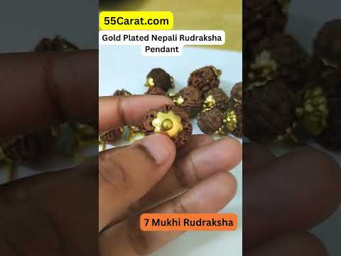 Natural 7 Mukhi Nepali Rudraksha Gold Plated Pendant at Wholesale Rates (Rs 110/Piece)