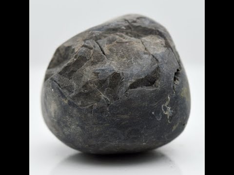 Natural Laxmipati Shaligram Vishnu Shila salagramam For Worship Small Size (Max: 5 CM)