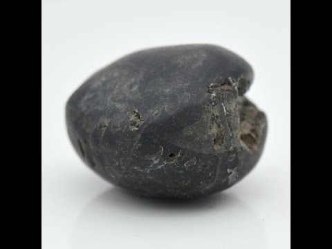 Natural Janardan Shaligram Fossil For Worship Small Size (Max: 5 CM)