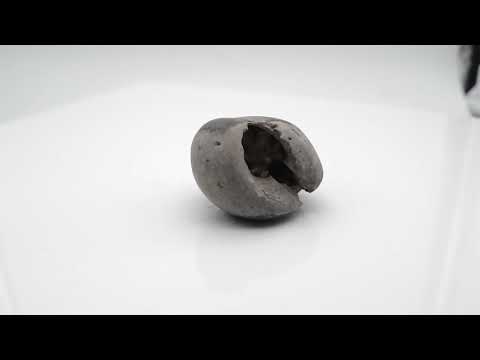 Genuine Narayana Shaligram Shilla Stone For Pooja Small Size (Max: 5 CM)