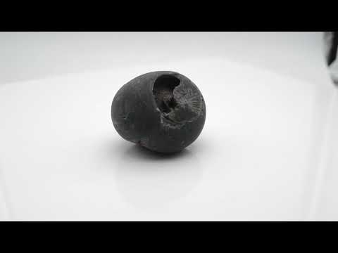 Nepal Gandaki Aditya Shaligram Bagwan Shilla For Tulsi Puja Small Size (Max: 5 CM)