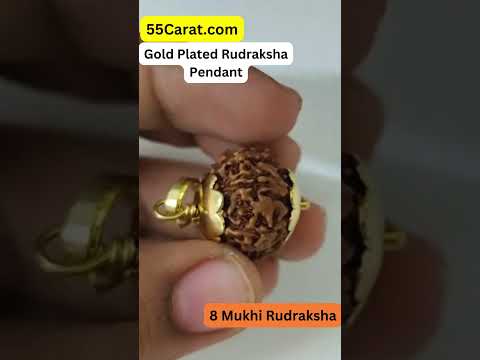 Natural 8 Mukhi Indonesia Rudraksha Gold Plated Pendant at Wholesale Rates (Rs 170/Piece)