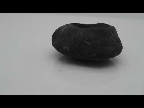 Natural Aananta Shaligram Bagwan Shilla For Tulsi Puja Small Size (Max: 5 CM)