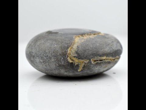 Genuine Laxmi Narayana Shaligram Idol Lord Vishnu For Tulsi Puja Small Size (Max: 5 CM)