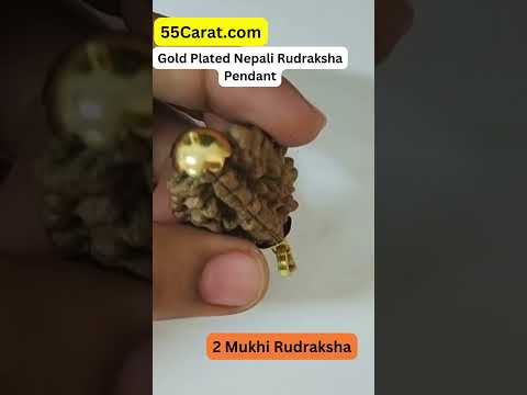 Natural 2 Mukhi Nepali Rudraksha Gold Plated Pendant at Wholesale Rates (Rs 50/Piece)