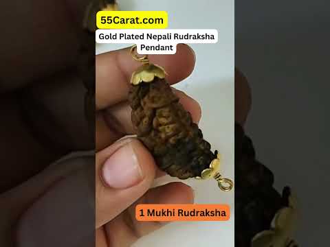Natural 1 Mukhi Nepali Rudraksha Gold Plated Pendant at Wholesale Rates (Rs 770/Piece)