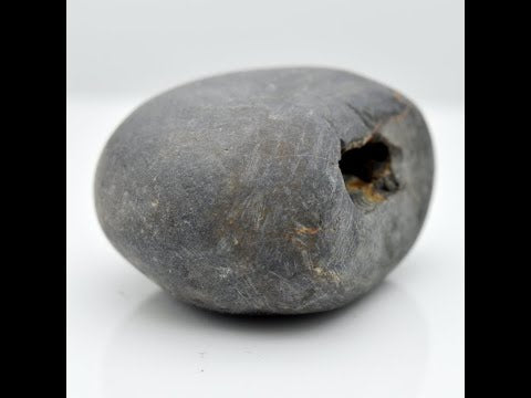 Genuine Narayana Shaligram Shilla Stone For Pooja Small Size (Max: 5 CM)