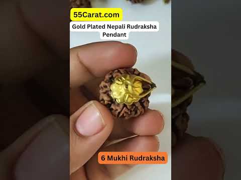 Natural 6 Mukhi Nepali Rudraksha Gold Plated Pendant at Wholesale Rates (Rs 50/Piece)
