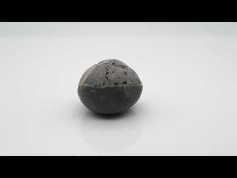 Nepal Gandaki Bisworupa Shaligram Vishnu Shilla For Worship Small Size (Max: 5 CM)