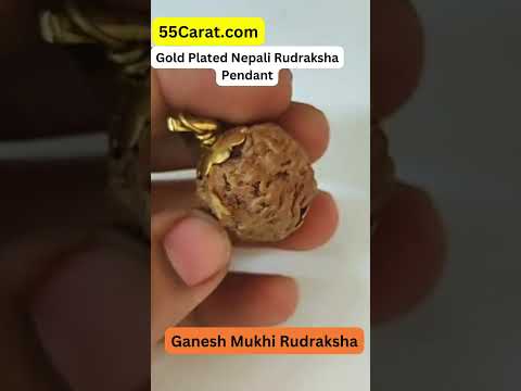 Natural Shri Ganesh Nepali Rudraksha Gold Plated Pendant at Wholesale Rates (Rs 120/Piece)