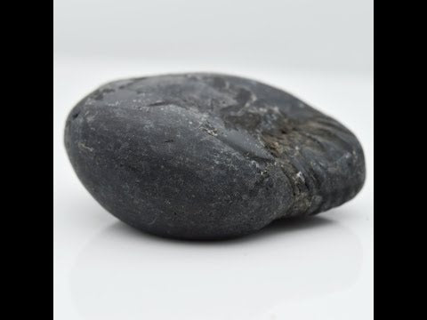 Natural Chakrapani Shaligram Vishnu Idol For Pooja Small Size (Max: 5 CM)