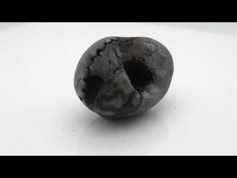Nepal Gandaki Laxmipati Shaligram Fossil For Worship Small Size (Max: 5 CM)