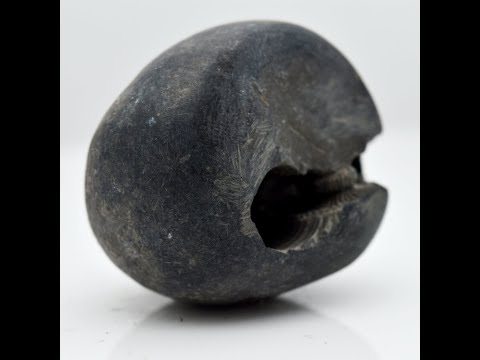 Nepal Gandaki Laxmipati Shaligram Fossil For Worship Small Size (Max: 5 CM)