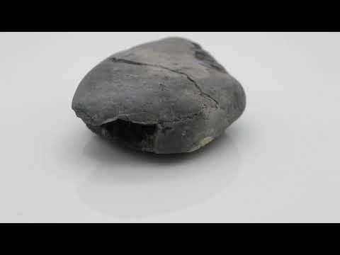 Original Harihar Shaligram Vishnu Shilla For Worship Small Size (Max: 5 CM)