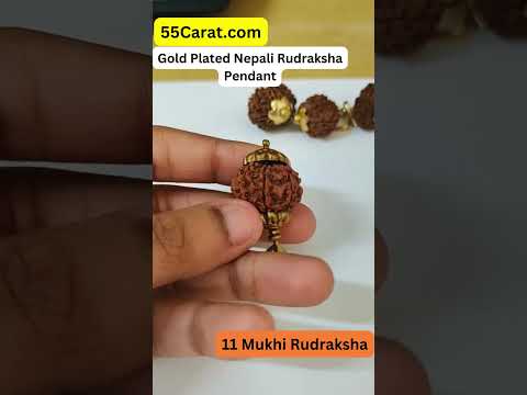 Natural 11 Mukhi Nepali Rudraksha Gold Plated Pendant at Wholesale Rates (Rs 1970/Piece)