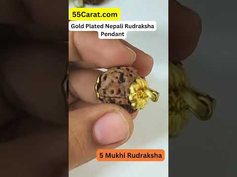 Natural 5 Mukhi Nepali Rudraksha Gold Plated Pendant at Wholesale Rates (Rs 50/Piece)