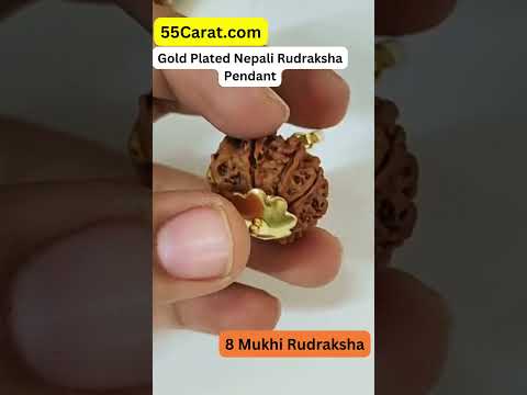 Natural 8 Mukhi Nepali Rudraksha Gold Plated Pendant at Wholesale Rates (Rs 1420/Piece)