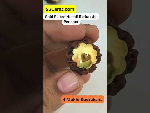 Natural 4 Mukhi Nepali Rudraksha Gold Plated Pendant at Wholesale Rates (Rs 50/Piece)