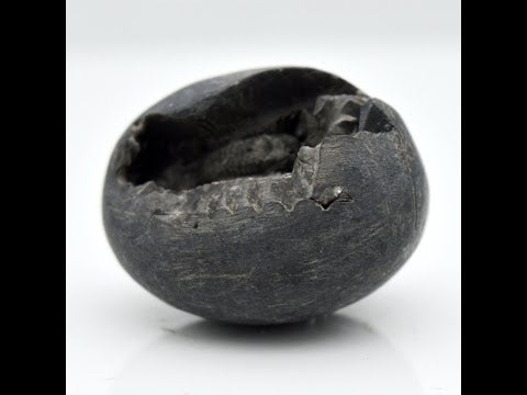 Gandaki River Laxmi Narayana Shaligram Fossil saaligram For Pooja Small Size (Max: 5 CM)