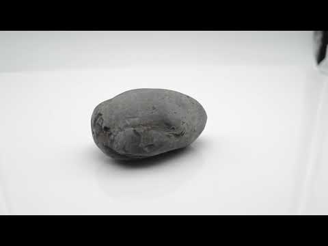 Gandaki River Suryamurti Shaligram Shilla Stone For Pooja Small Size (Max: 5 CM)