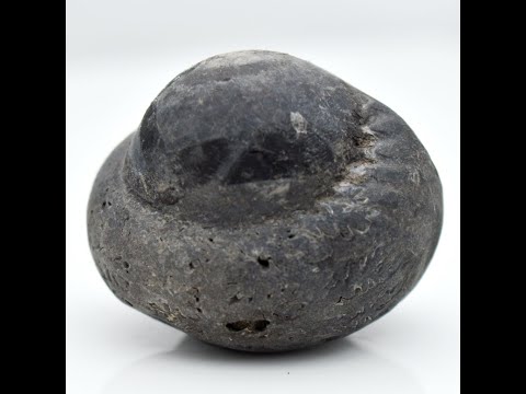 Gandaki River Mahakali Shaligram Shilla Stone For Pooja Small Size (Max: 5 CM)
