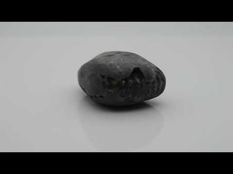 Nepal Gandaki Pradhyumna Shaligram Idol Lord Vishnu For Tulsi Puja Small Size (Max: 5 CM)