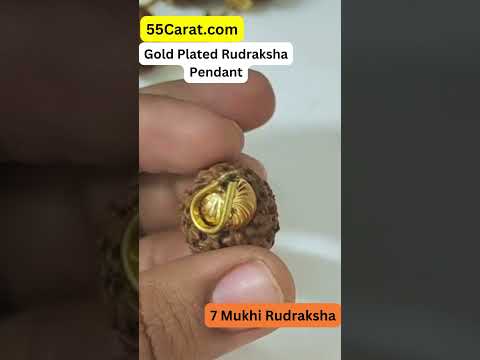 Natural 7 Mukhi Indonesia Rudraksha Gold Plated Pendant at Wholesale Rates (Rs 85/Piece)