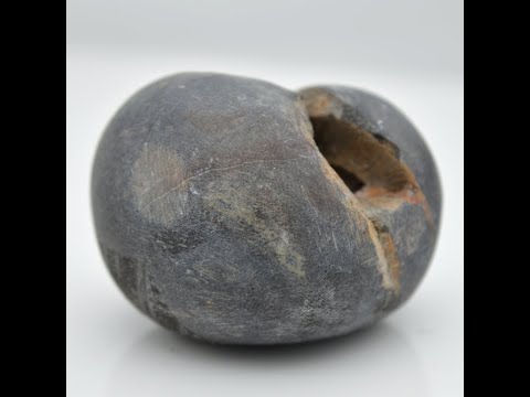 Nepal Gandaki Damodar Shaligram Vishnu Idol For Pooja Small Size (Max: 5 CM)