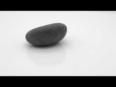 Natural Maytsya Shaligram Shilla Stone For Pooja Small Size (Max: 5 CM)