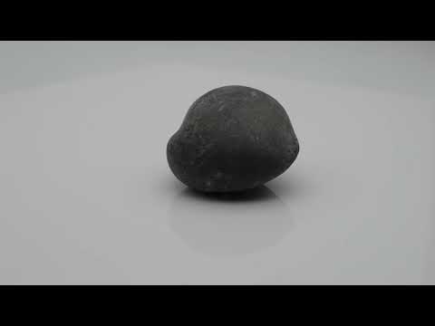 Original Madhav Shaligram Fossil For Worship Small Size (Max: 5 CM)