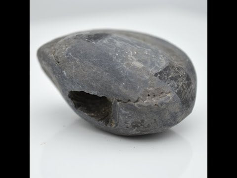 Nepal Gandaki Laxmipati Shaligram Fossil For Worship Small Size (Max: 5 CM)