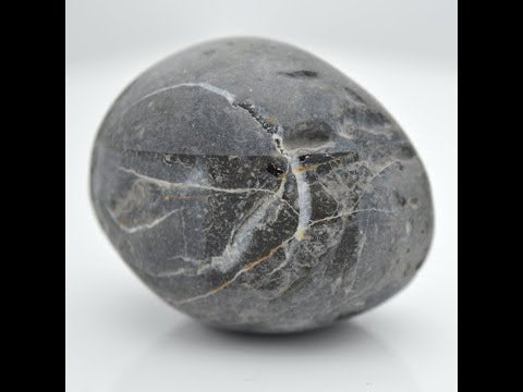 Natural Maytsya Shaligram Shilla Stone For Pooja Small Size (Max: 5 CM)